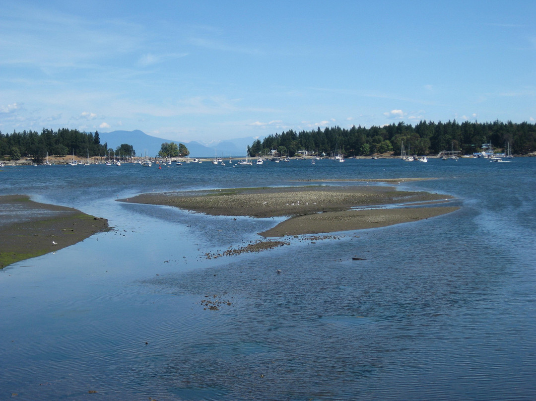 Harbourfront Walkway景点图片