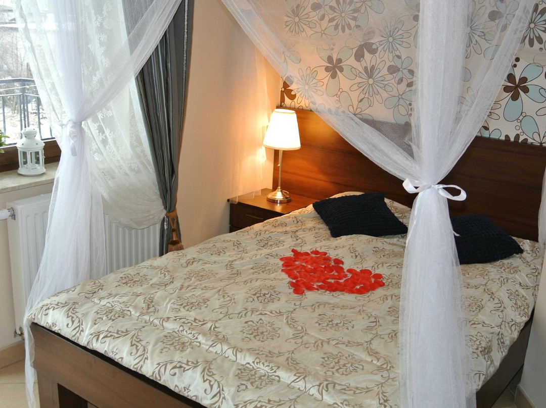 Chlapowo酒店住宿-Willa Olivia