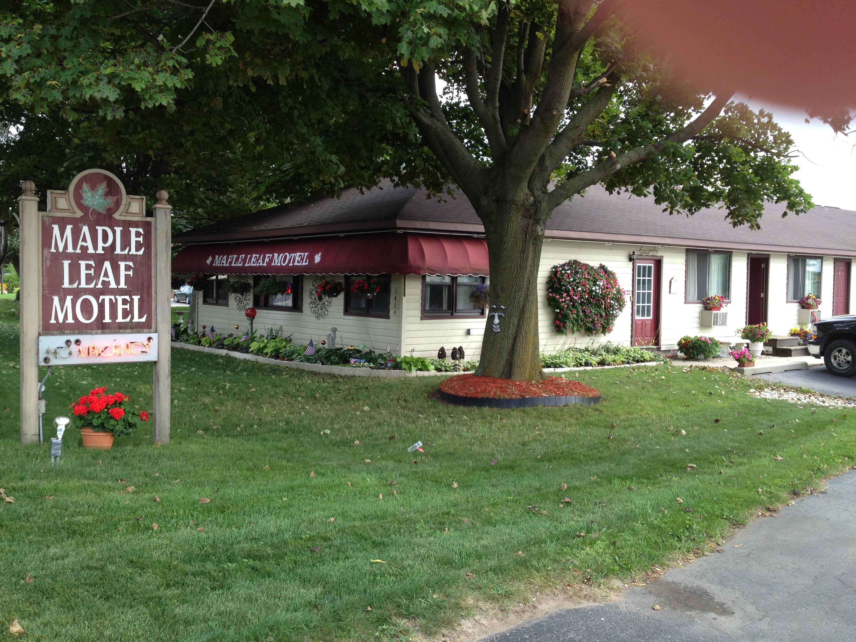 Maple Leaf Motel-客卧