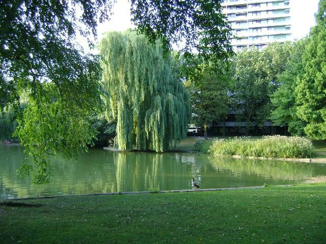 Stadtgarten景点图片