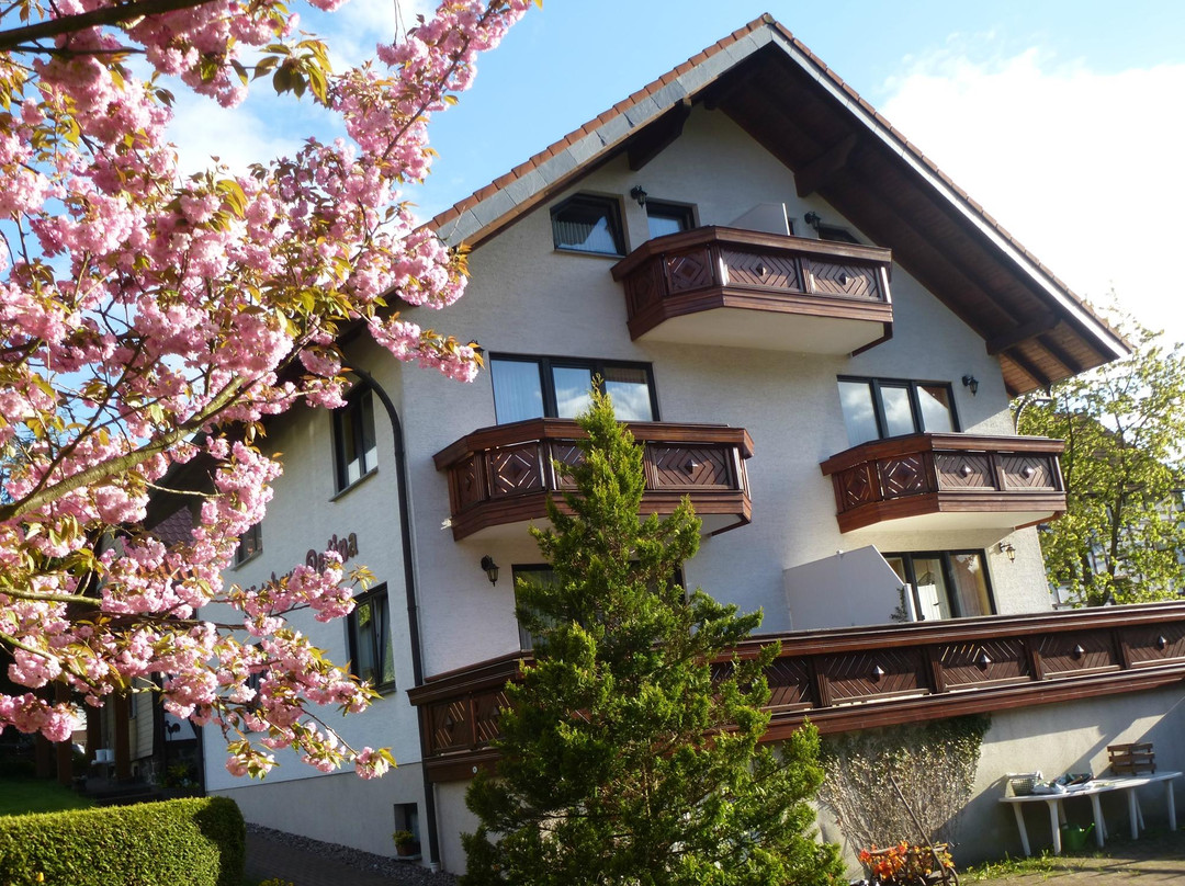 Gaestehaus Regina主图