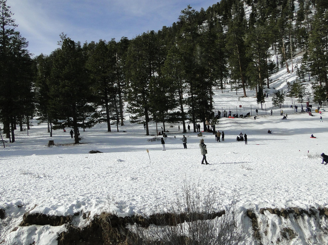 查尔斯顿山-拉斯维加斯必去景点