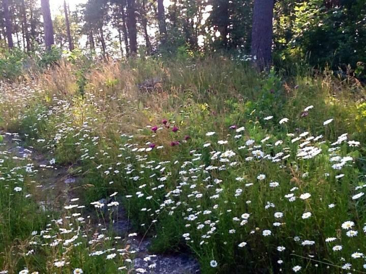 The Clearing-Ellison Bay必去景点