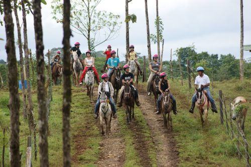 Cinco Ceibas Rainforest Reserve and Adventure Park景点图片