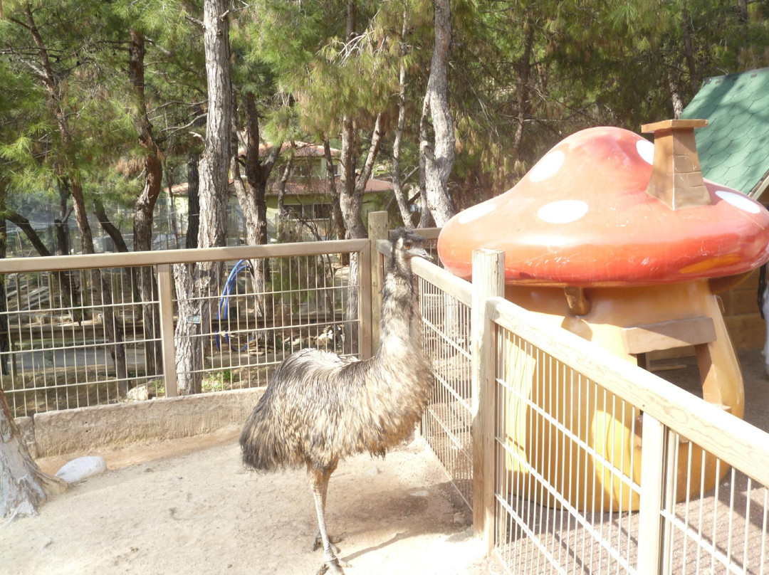 Antalya Hayvanat Bahçesi景点图片