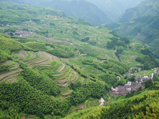 丽水遂昌九龙山景点图片
