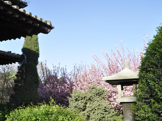 青龙寺-西安市必去景点