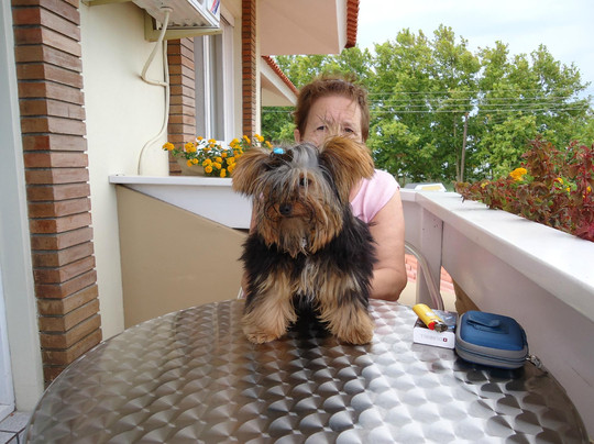 Cristal酒店住宿-Laguna Apart Hotel