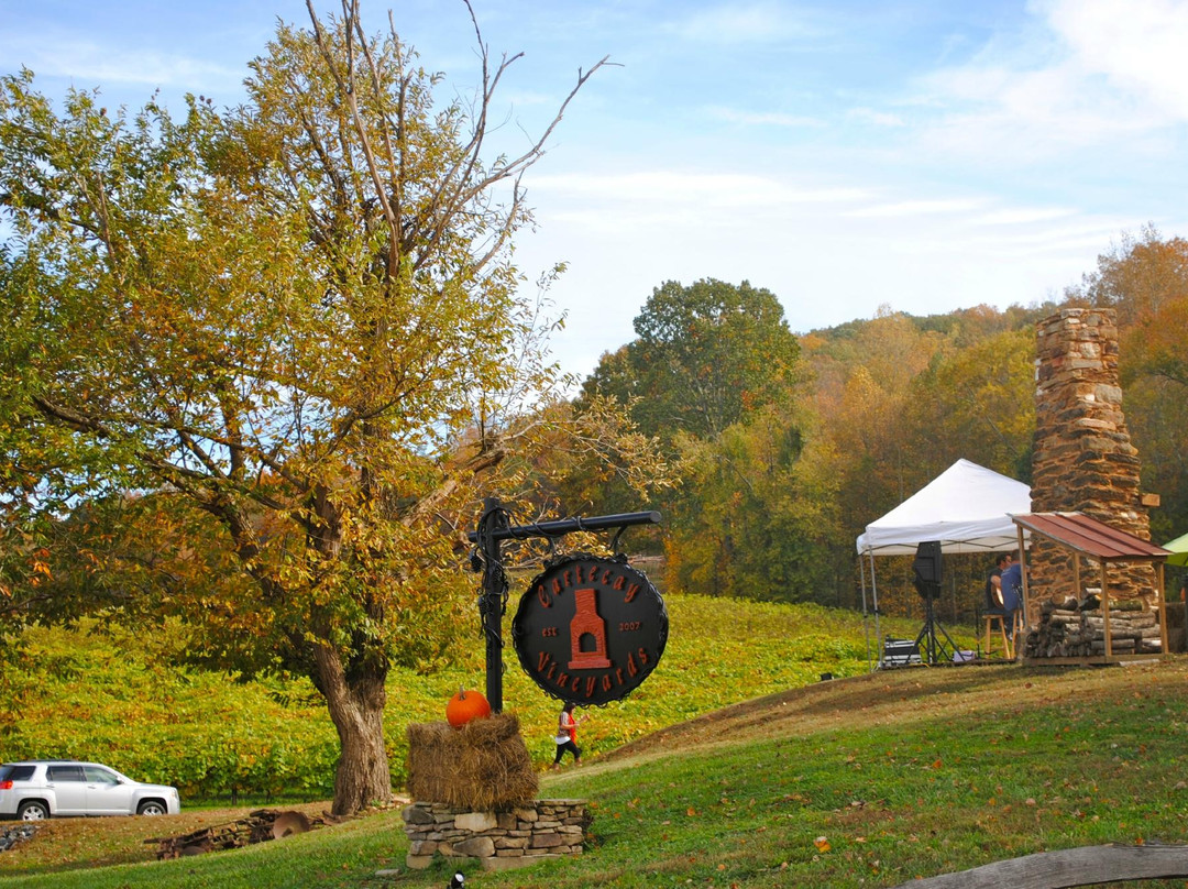Cartecay Vineyards-Ellijay必去景点