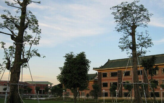 中山纪念中学-中山市必去景点