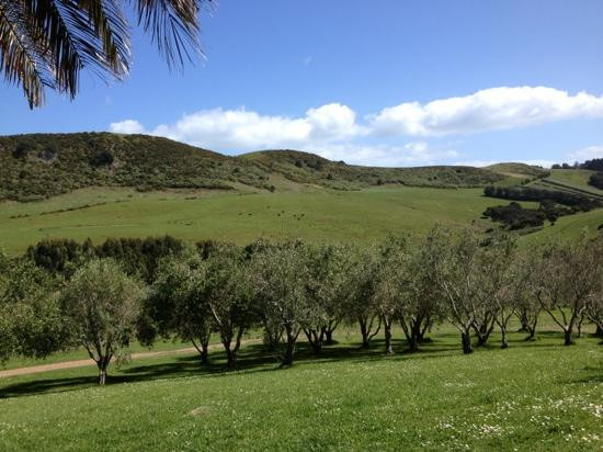 Stonyridge Vineyard景点图片