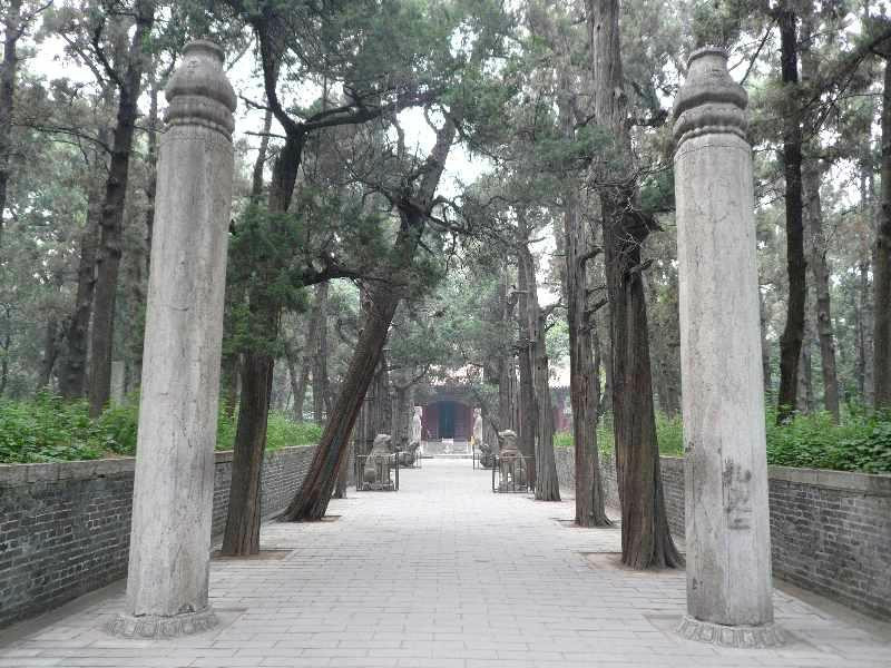 孔林-曲阜市必去景点