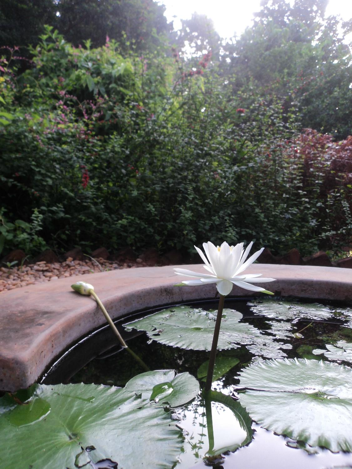 Gaia's Garden Guest House-浴室