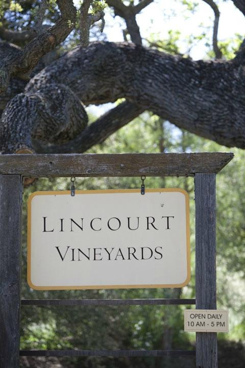 Lincourt Vineyards-索尔万必去景点