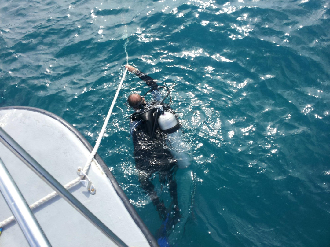 Honolulu Scuba Company-火奴鲁鲁必去景点