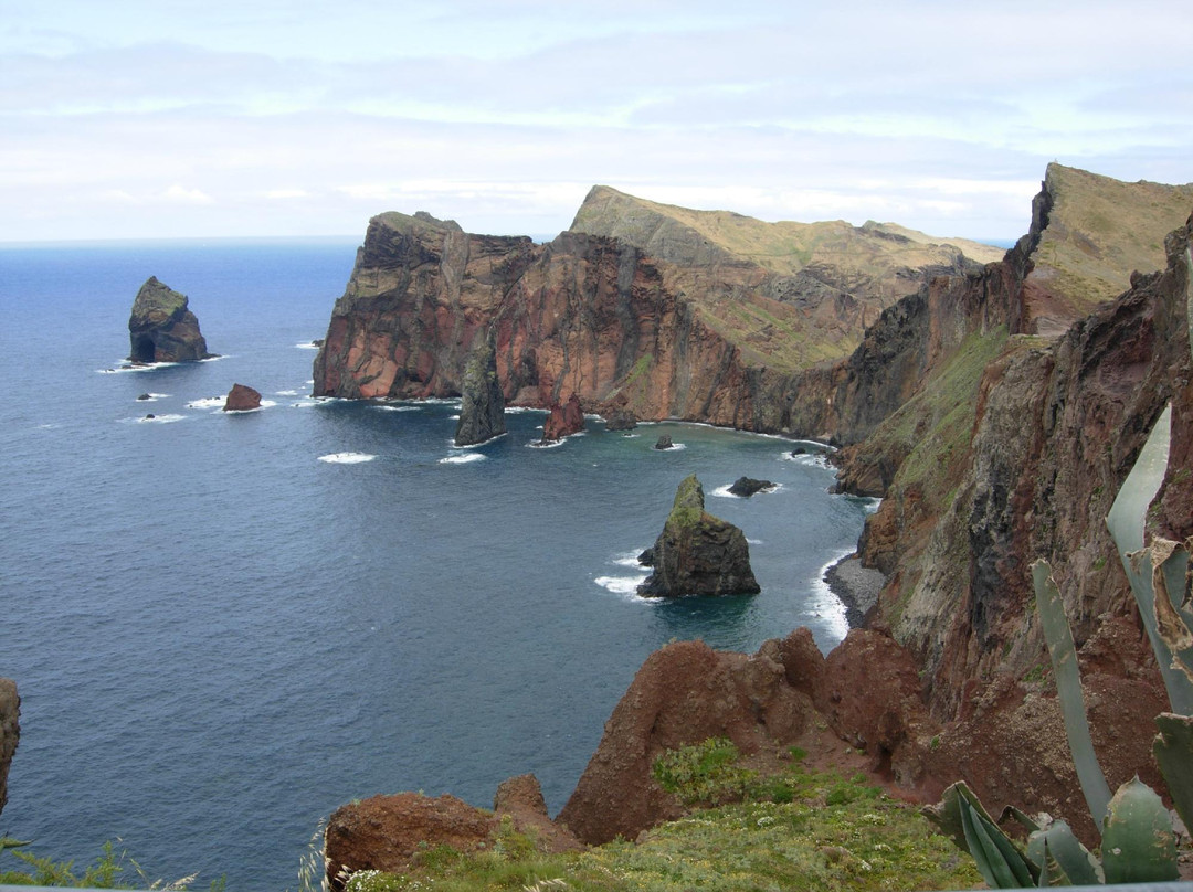 Daniel Madeira Taxis-沙尔必去景点