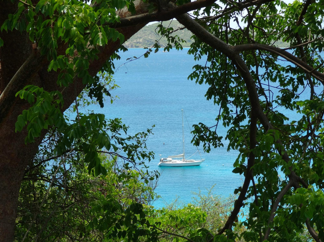 Caneel Bay Beach-Caneel Bay必去景点