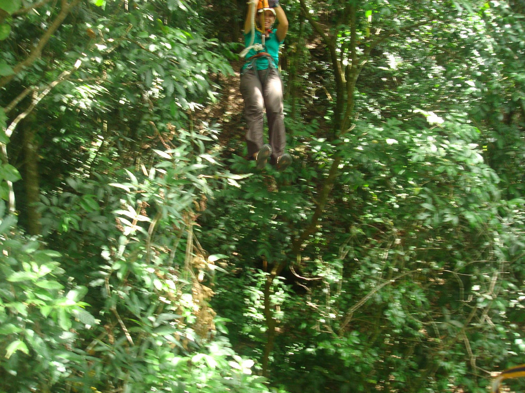 Floriham TreeTop Adventures-Canovanas必去景点