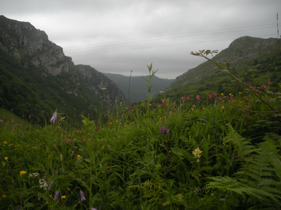 Ruta De Las Xanas-Villanueva De Santo Adriano必去景点