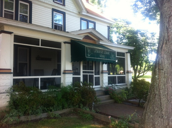 Rock Hall酒店住宿-The Black Duck Inn and Dockside Cafe