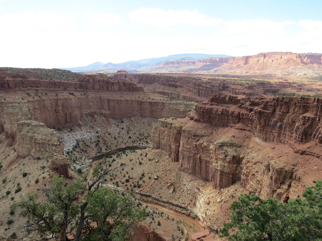 Goosenecks Overlook-圆顶礁国家公园必去景点