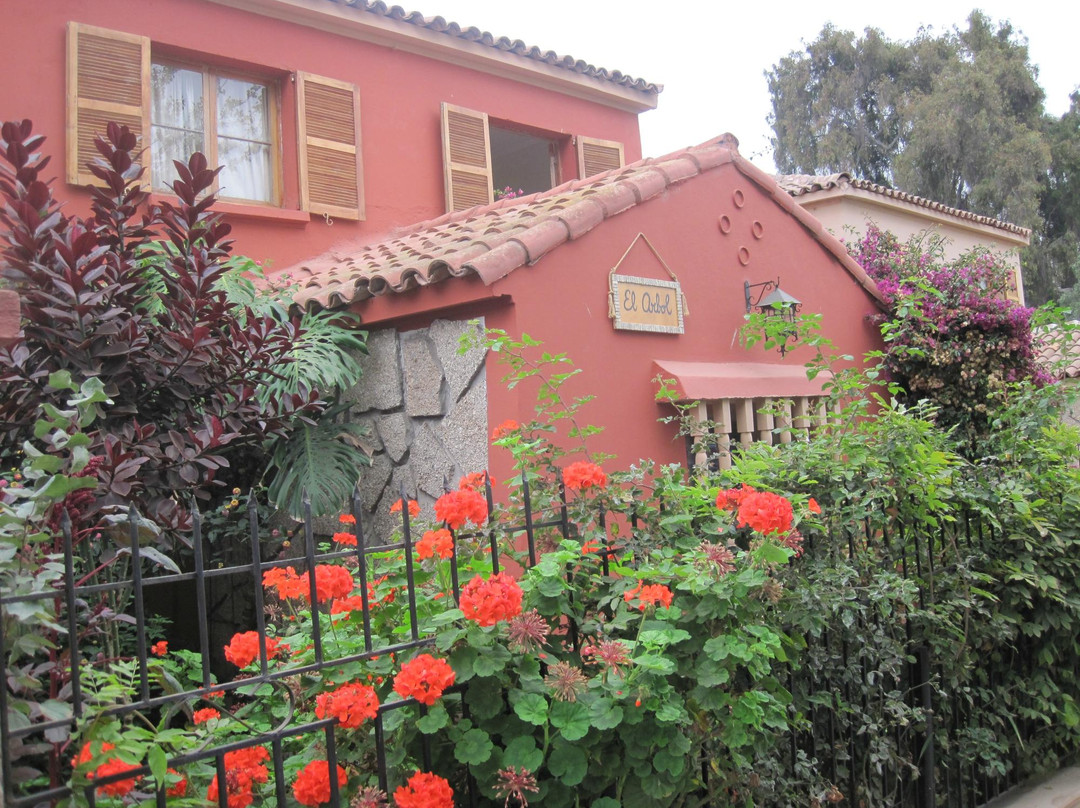 Hostal El Arbol
