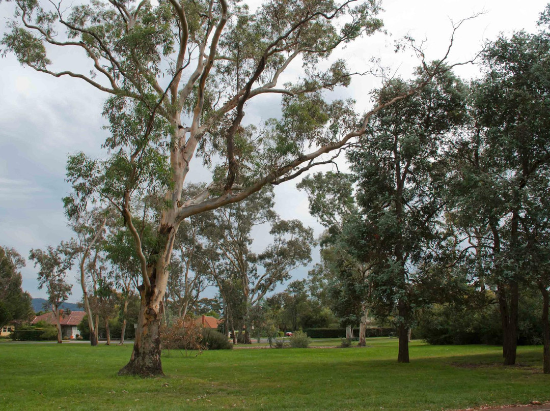 Corroboree Park-堪培拉必去景点