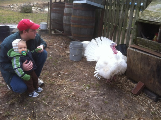 Brooker Creek Preserve-塔彭斯普林斯必去景点