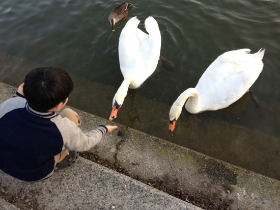 Fukuyama City Zoo景点图片