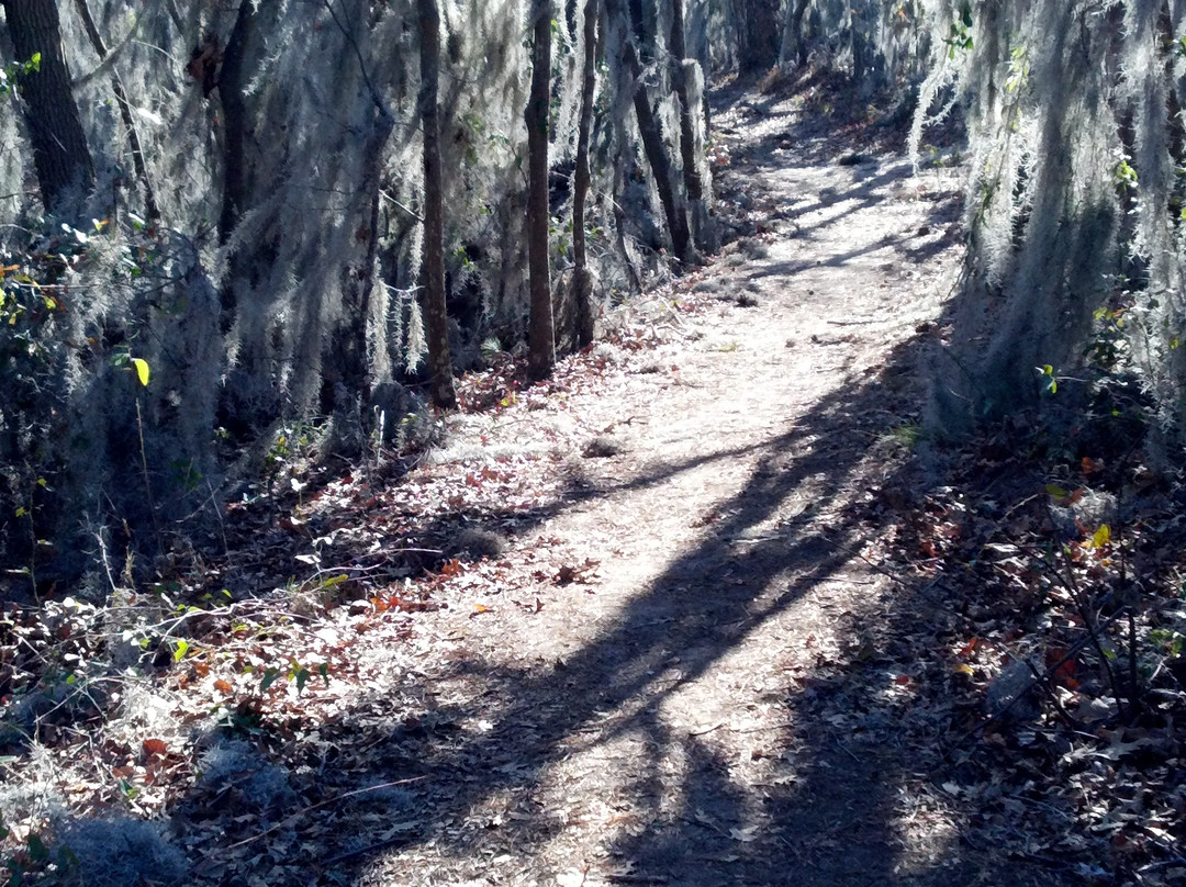 First Landing State Park-弗吉尼亚海滩必去景点