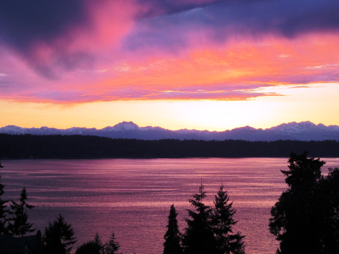 Burien酒店住宿-Olympic View Bed and Breakfast Cottage