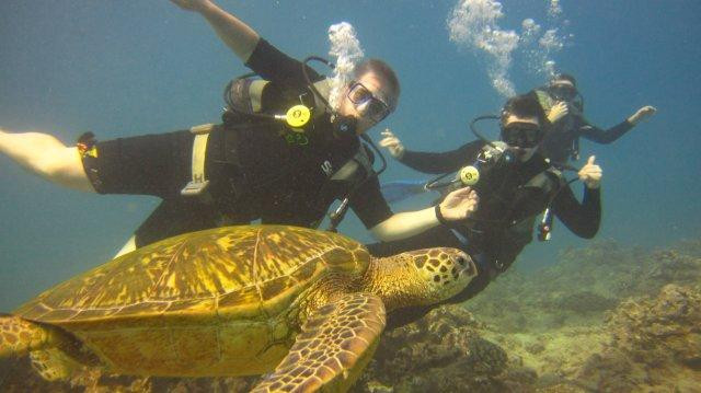 欧湖岛潜水之旅-火奴鲁鲁必去景点