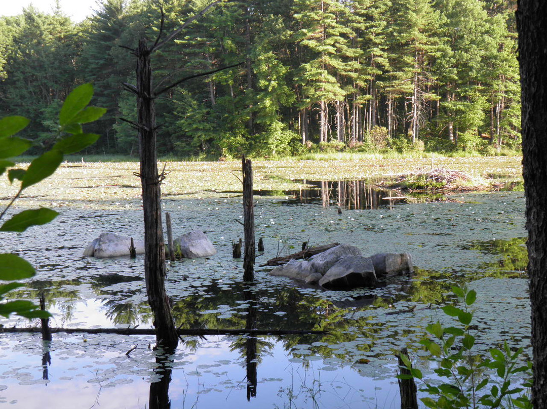 Beaver Brook Reservation景点图片