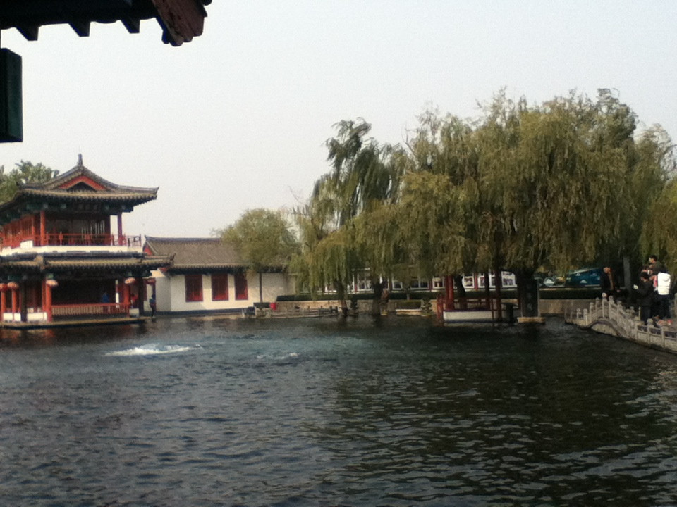 百脉泉公园-济南市必去景点