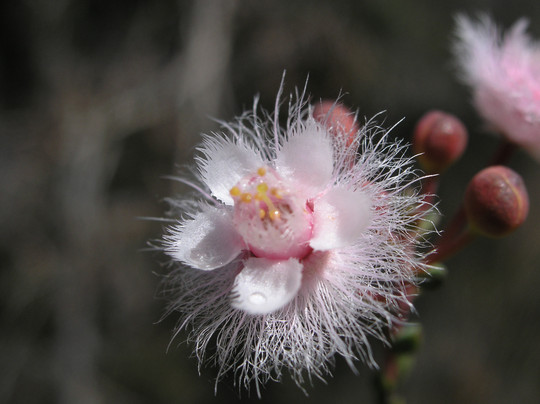 Margaret River Confluence-玛格丽特河必去景点