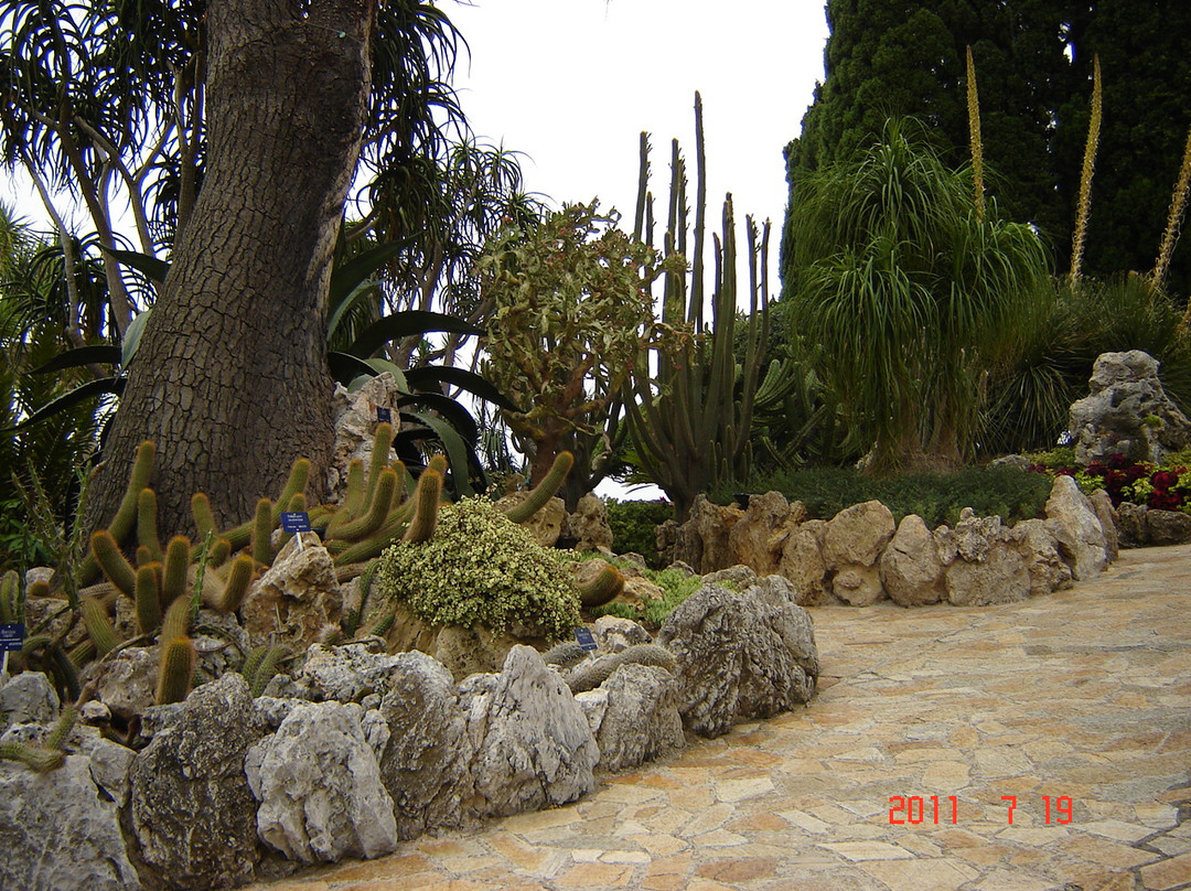 Jardin Exotique de Monaco景点图片