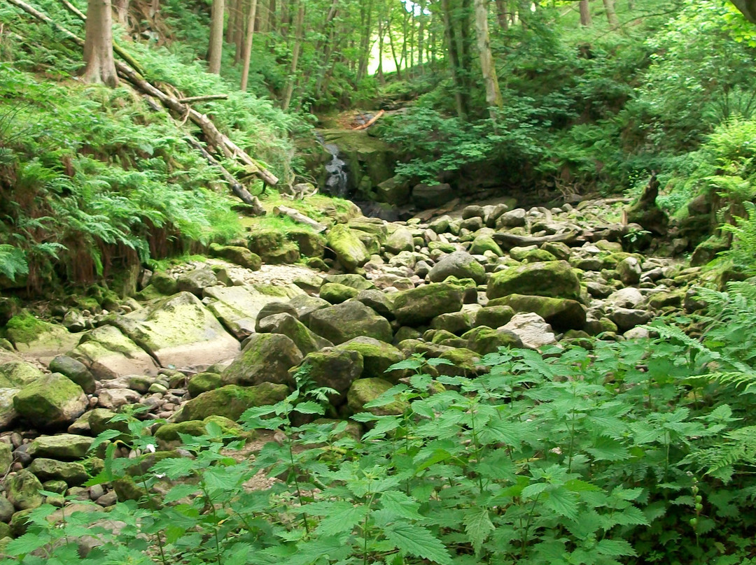 Studfold Adventure Trail景点图片