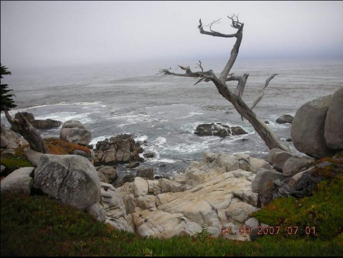Pebble Beach-Del Monte Forest必去景点