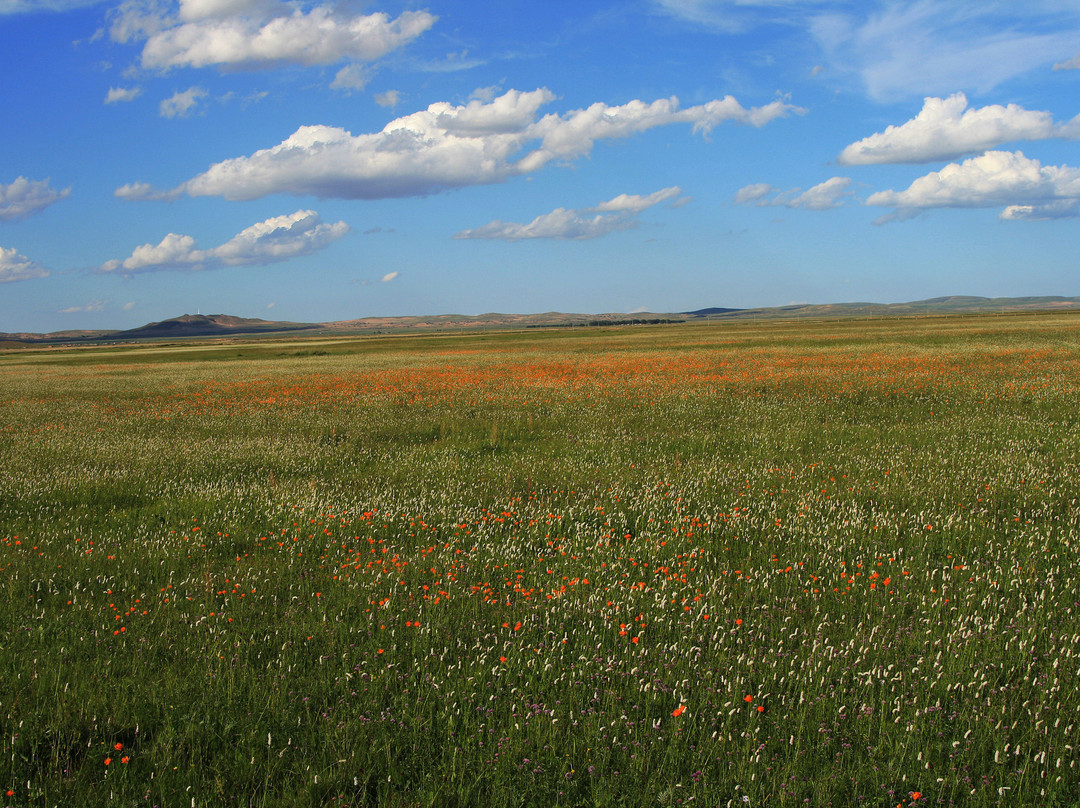 元上都遗址-正蓝旗必去景点