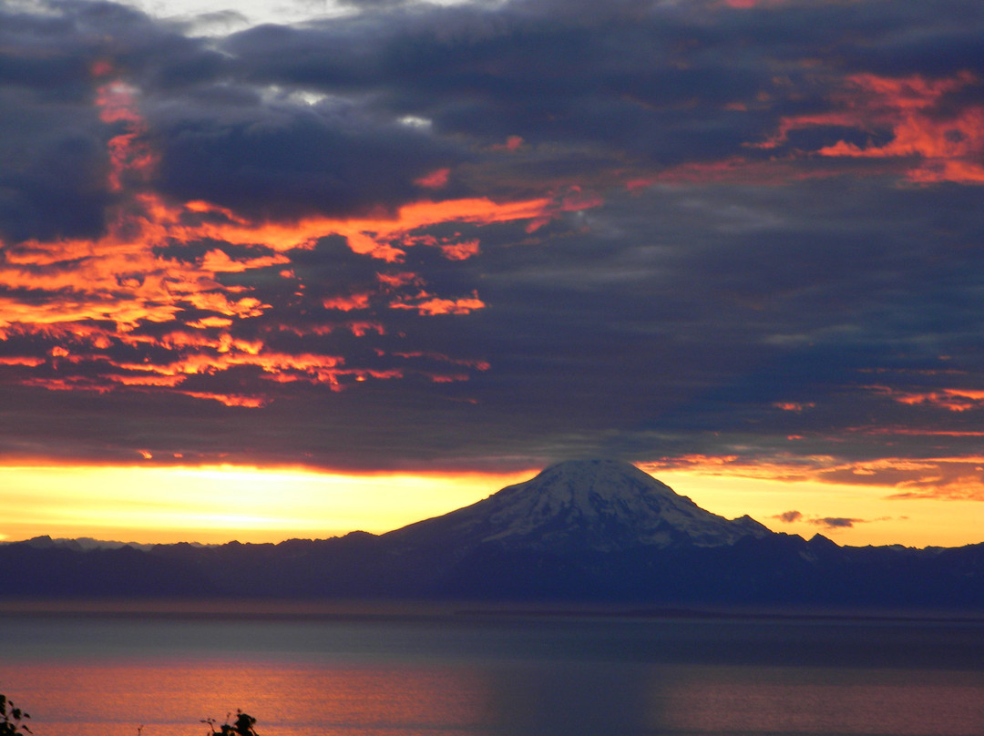 尼尔奇克酒店住宿-Alaska Log Haven B&B
