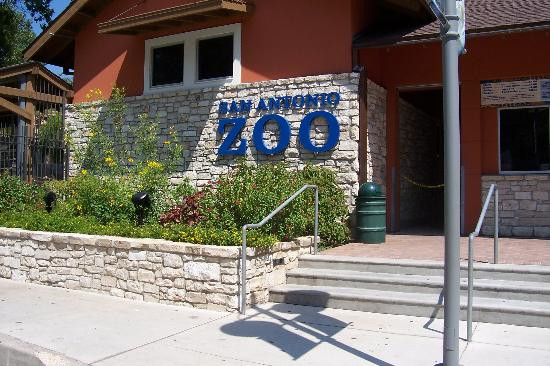 San Antonio Zoo景点图片