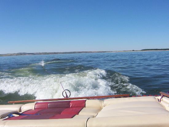 Glendo State Park-泳池