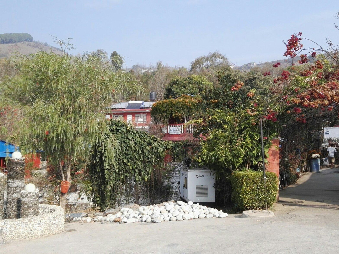 Lumbini Zone餐馆和美食-Rose Resort