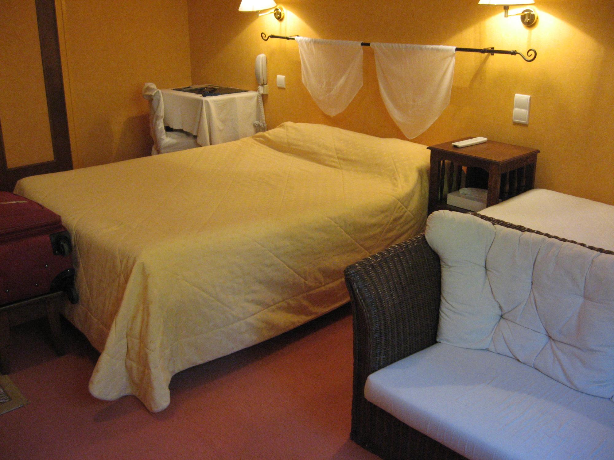 Hotel Au Petit Vatel-客卧