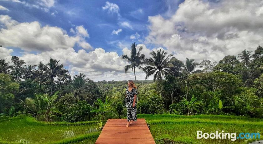 Omah Bapak Ijen Eco House主图