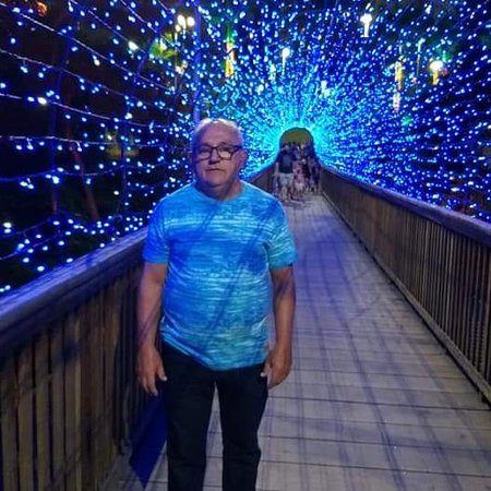 Parque da Cidade景点图片