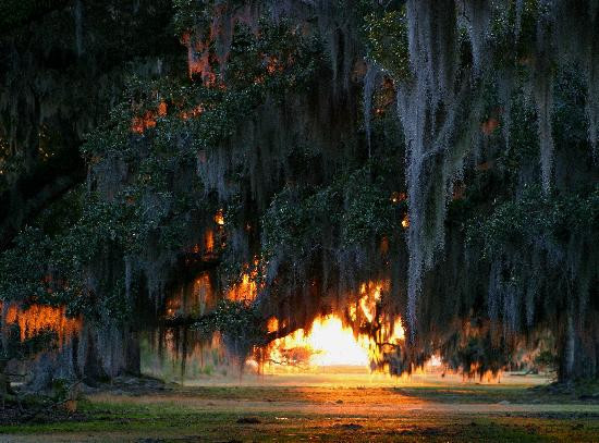 Fontainebleau State Park-Mandeville必去景点