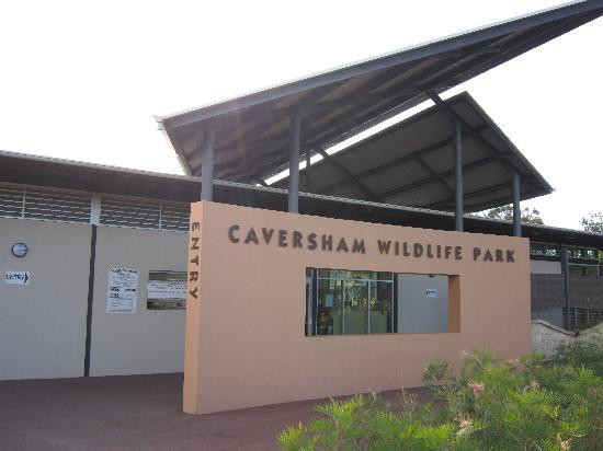 Caversham Wildlife Park景点图片
