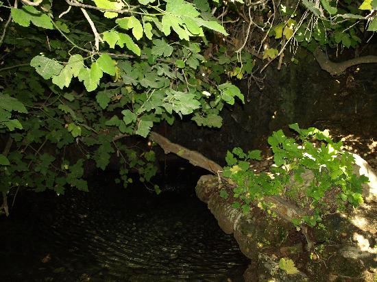 Aphrodite Trail-Latchi必去景点