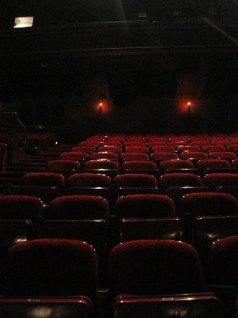 坦帕大剧院-坦帕必去景点